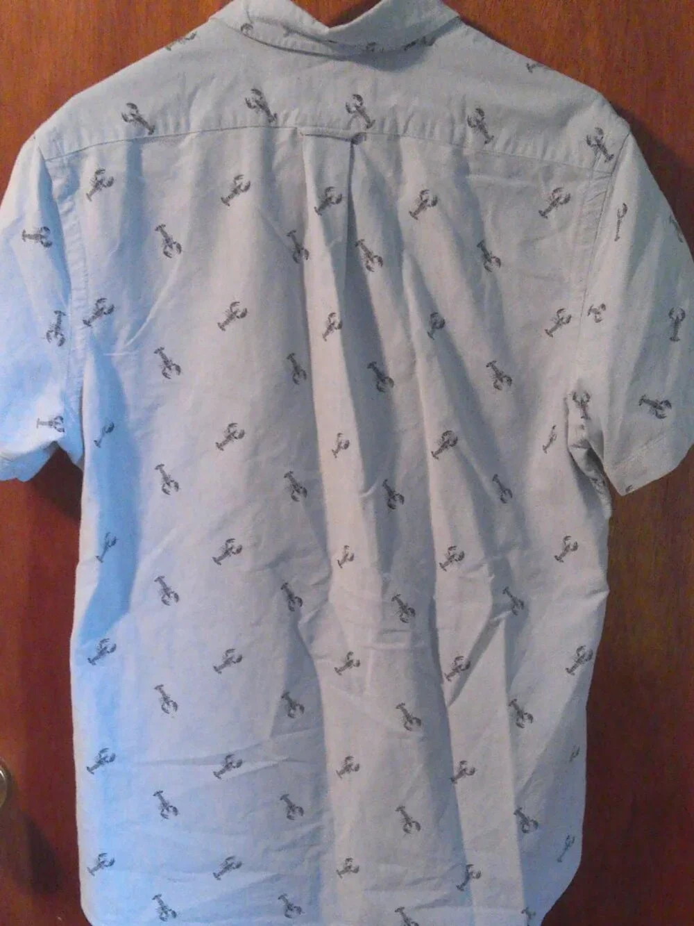 Ralph Lauren color allover